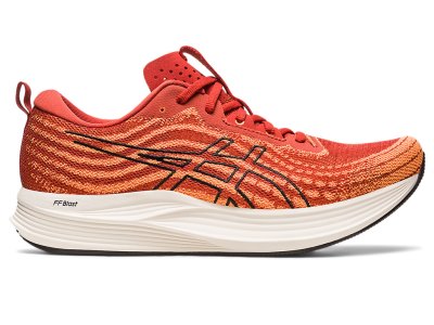 Asics Evoride Speed Tekaški Čevlji Moški Rjave Črne | SI8969-315