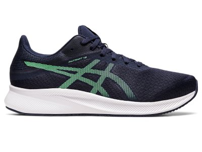 Asics Patriot 13 Tekaški Čevlji Moški Črne Turkizna | SI5100-234