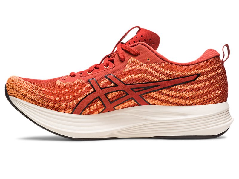 Asics Evoride Speed Tekaški Čevlji Moški Rjave Črne | SI8969-315