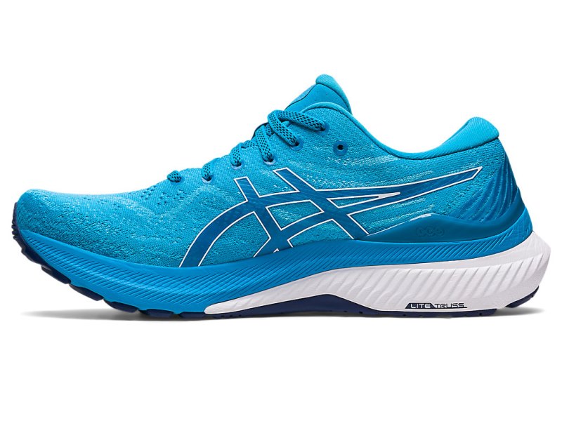 Asics Gel-kayano 29 Tekaški Čevlji Moški Modre Bele | SI1609-564