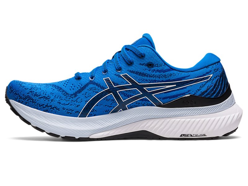 Asics Gel-kayano 29 Tekaški Čevlji Moški Modre Bele | SI3083-927