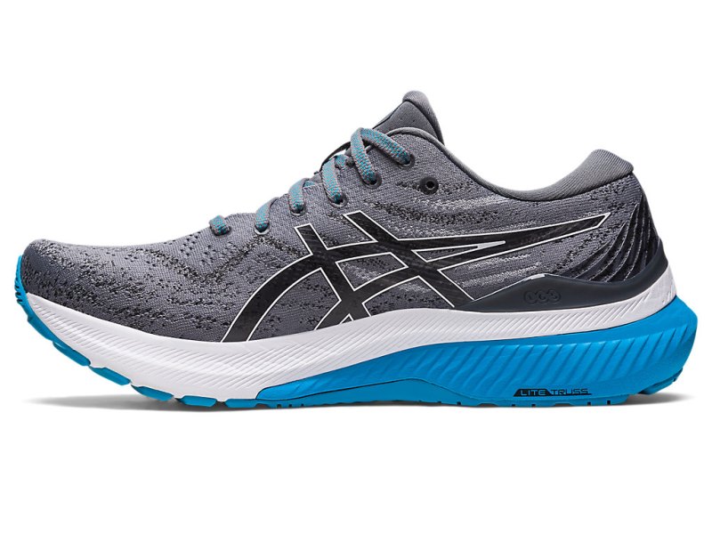 Asics Gel-kayano 29 Tekaški Čevlji Moški Sive Bele | SI4554-324