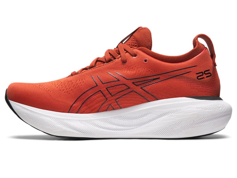 Asics Gel-nimbus 25 Tekaški Čevlji Moški Rjave Črne | SI3723-160