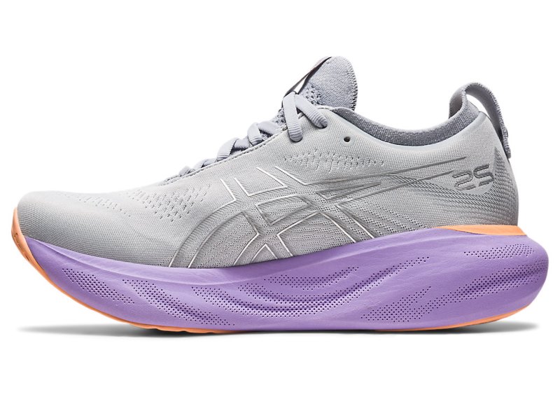 Asics Gel-nimbus 25 Tekaški Čevlji Ženske Sive Srebrne | SI0786-062