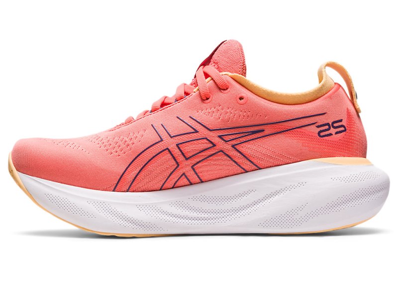 Asics Gel-nimbus 25 Tekaški Čevlji Ženske Koralne Vijolične | SI0961-257