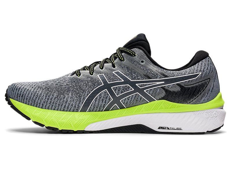 Asics Gt-2000 10 Tekaški Čevlji Moški Sive Bele | SI6345-241